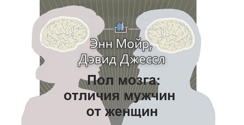 Paul brain. Мужской и женский мозг. Мозг мужчины и женщины различия. Различия мозга между мужчиной и женщиной.